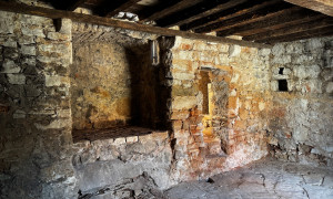 thumb_3618241_img_2021.jpg