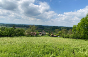 thumb_3619042_2.jpg