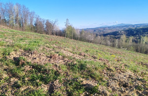 thumb_3619087_4.jpg