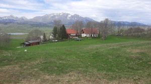 thumb_3619092_20250504_105325.jpg