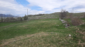 thumb_3619092_20250504_105347.jpg
