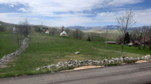 thumb_3619092_20250504_105705.jpg