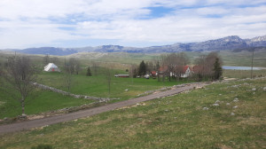 thumb_3619092_20250504_105822.jpg