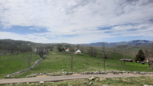 thumb_3619092_20250504_110014.jpg