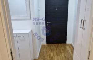 thumb_3619907_6.jpg