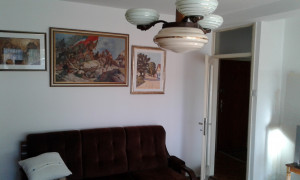 thumb_3620729_20181004_161531.jpg