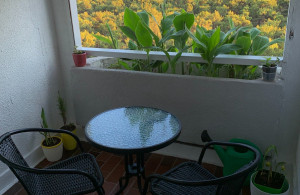 thumb_3620866_2.jpg