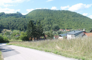 thumb_3621362_img_0330_800x533.jpg