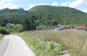 thumb_3621362_img_0332_800x533.jpg
