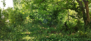 thumb_3622094_image_688c9c6cf8eabd5bca8d5db0.jpg