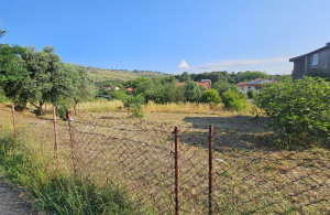 thumb_3622107_tolosi1.jpg