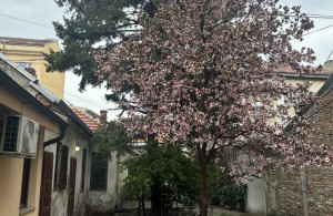 thumb_3622206_46d30ae0-37ed-44ab-9717-e813d6334b7cr.jpeg