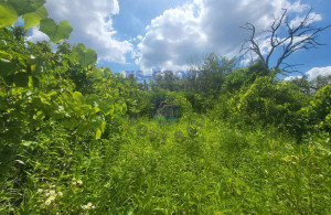 thumb_3622445_image_688b587c8c337afab394a0b7.jpg