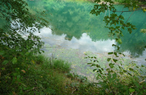thumb_3622712_51.jpg
