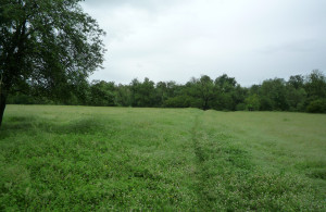 thumb_3622712_54.jpg