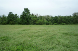 thumb_3622712_55.jpg