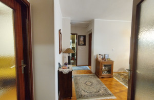 thumb_3622826_3.jpg
