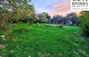 thumb_3623148_tnine_oglasi_ads_kavac_kotor_plac_zemlja_land_-2-800x570.jpg