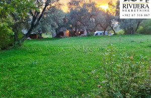 thumb_3623148_tnine_oglasi_ads_kavac_kotor_plac_zemlja_land_-6-800x570.jpg