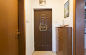 thumb_3623177_10.jpg