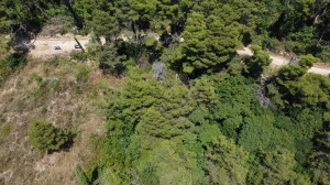 thumb_3623371_dji_0461.jpg
