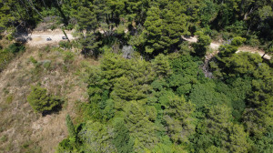 thumb_3623371_dji_0462.jpg