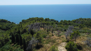 thumb_3623371_dji_0464.jpg