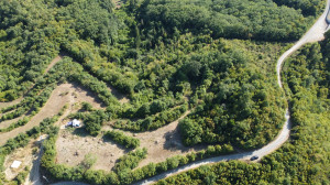 thumb_3623374_dji_0455.jpg