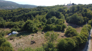 thumb_3623374_dji_0459.jpg