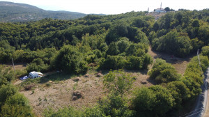 thumb_3623374_dji_0460.jpg