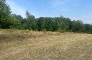thumb_3623508_008.jpg