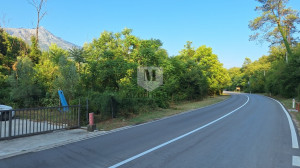 thumb_3623869_1.jpg