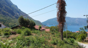 thumb_3623968_5.jpg