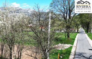 thumb_3625324_plac_grahovo_rivijera_nekretnine_-4000-3.jpg