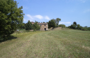 thumb_3626360_54.jpg
