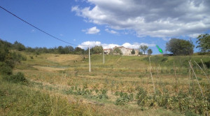 thumb_3626361_2.jpg