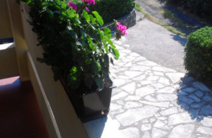 thumb_3626772_img-06ad22833ae0671c9924a824460e4af9-v.jpg