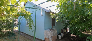 thumb_3626896_6.jpg