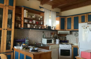 thumb_3627968_kuca-1959-04.jpg
