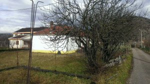 thumb_3627974_dvoriste.jpg