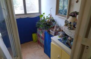thumb_3628071_image_689c7d62f8eabd5bcaec0785.jpg
