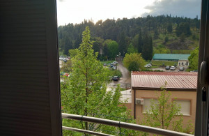 thumb_3628086_img_7023.jpeg