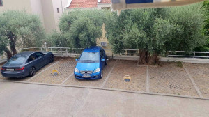 thumb_3628663_img_1076.jpeg