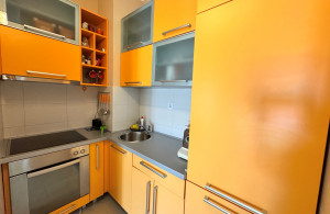 thumb_3628912_property-in-montenegro-happy-montenegro-apartment19.jpg