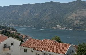 thumb_3628915_img_8284.jpg