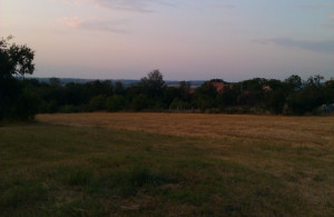 thumb_3629370_am27.jpg