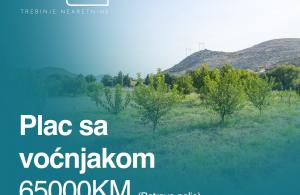 thumb_3629412_naslovna.jpg