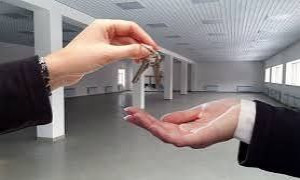 thumb_3629426_5985434654288759741.jpg