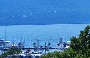 thumb_3630417_7.jpg