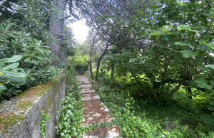 thumb_3630749_2.jpg